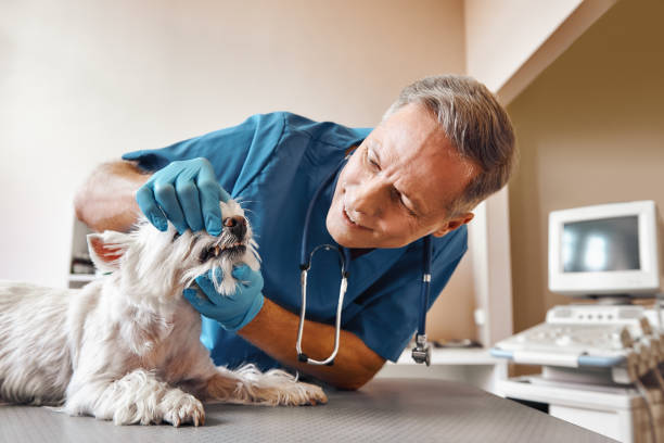  Fairmount Heights, MD Emergency Dentist Pros